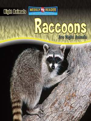 cover image of Raccoons Are Night Animals